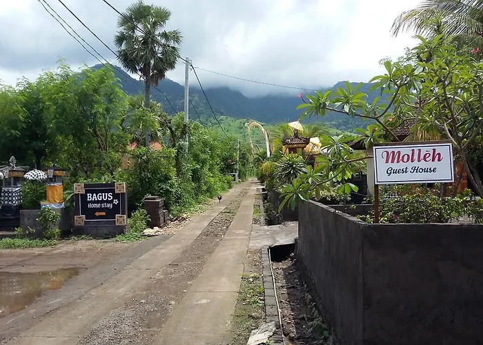 Molleh 2* Pemuteran