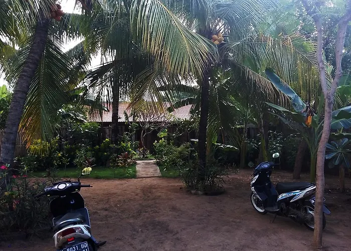 Molleh 2* Pemuteran